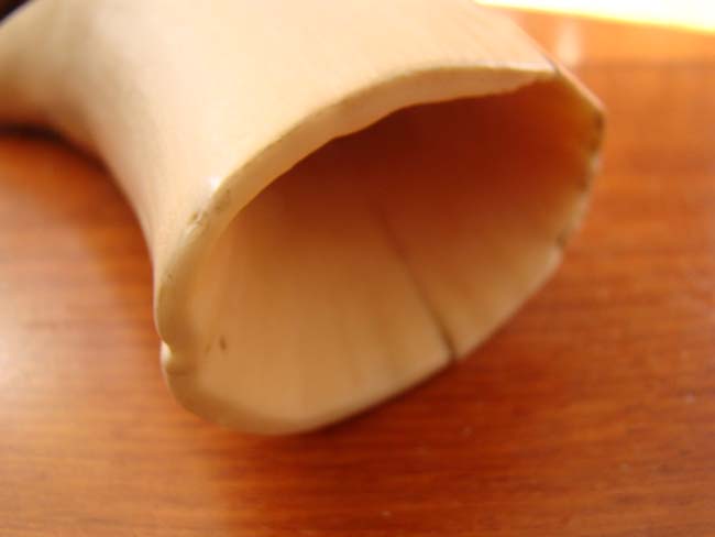 A large 7" whale's tooth weighing approximately 1.3 pounds — image 3